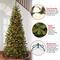 7.5 ft. Pre-lit Tiffany Fir Slim Artificial Christmas Tree, Clear Lights